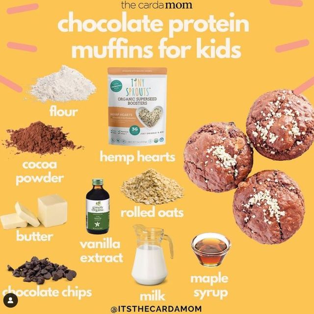 Chocolate Protein Muffins